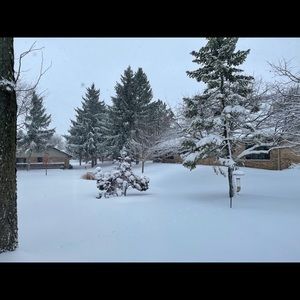 Meet your Posher, Rina